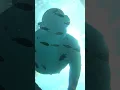 Download Lagu Laguna Beach Life #snorkeling #underwater #oceanlover #diving #sea  #youtubehighfive @youtubecreator