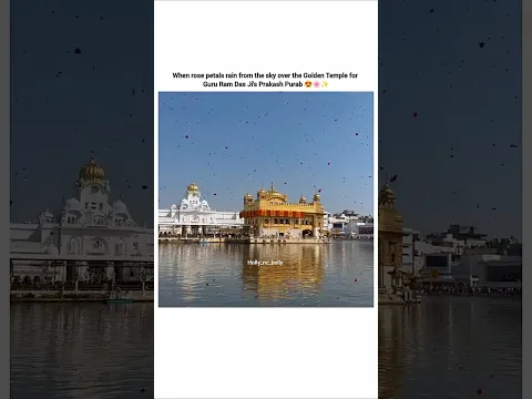 yhGuru Ram Das Ji Gurpurab celebration ✨ #shorts #gururamdasji #shortsfeed #goldentemple
