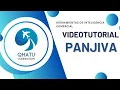 tutorial - PANJIVA