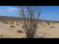 2021 Road Trip Chiriaco Summit Campground