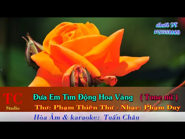 Đưa Em Tìm Động Hoa Vàng 