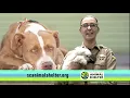 Find Your Lost Pet at the Santa Cruz County Animal Shelter