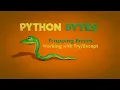 Cinema 4D Python Bytes Trapping Errors - Working with