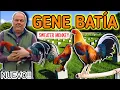 Gene Batia Gulf Haven 2025 Sweater Monkey Doc Robinson Hatch