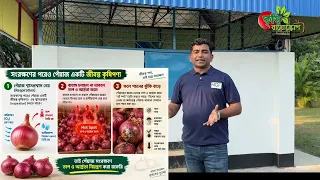 সৌরচালিত ফোর্সড এয়ার ভেন্টিলেশনে পেঁয়াজ সংরক্ষণ-Forced-air ventilation Onion Storage Model