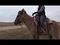 A test drive with the JC Martin saddle on a mule