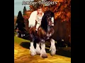 Download Lagu ~Fearless~ | HorseRidingTales