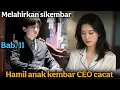 Download Lagu Bab. 11 - Melahirkan sikembar