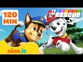 Download Lagu La Squadra dei Cuccioli | PAW Patrol Parents To The Rescue! 💗 Per saperne di più sull'amicizia