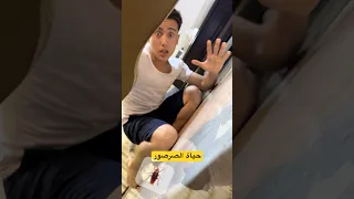 حياة صرصور ببيت عيله اردنيه Shorts 