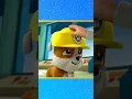 Rubble joins the PAW Patrol