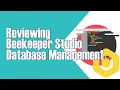 REVIEWING BEEKEEPER STUDIO A modern easy to use and good looking Database Client