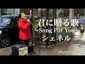 【最幸!!】君に贈る歌〜Song For You〜 / シェネル (cover)
