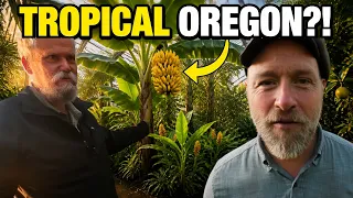 Oregon Man Grows Bananas (+Tropical Fruit) In 27°F
