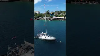 #sailingadventures #solosailing #grinde 📹 #blackfinfreediving #tonga