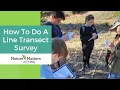 How to Do a Line Transect Survey - Nature Matters Academy