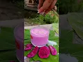 Download Lagu Dragon fruit 🍑 Milk shake 🍥 .#viral #short #food #cookingwithnature #tranding