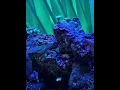 USZ-等你一通電話[Official Audio]