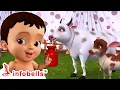 Download Lagu சிட்டியின் குட்டி பண்ணை வீடு, விளையாடலாம் வாங்க | Tamil Rhymes \u0026 Kids Cartoons | Infobells