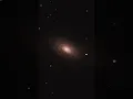 Download Lagu The Sunflower Galaxy 🌻🔭 captured with my 11” telescope #telescope #astronomy #space