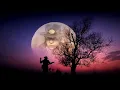 Stevie Ray Vaughan *Riviera Paradise* Dolby Digital 5.1