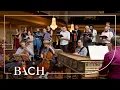 Download Lagu Bach - Cantata In allen meinen Taten BWV 97 - Sato | Netherlands Bach Society