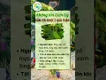 Download Lagu 4 Điều BÍ MẬT Về Sức Khỏe Ngàn Vàng Bạn Cần Biết | Sống khỏe đẹp #bíquyếtsốngkhỏe