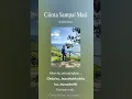 Download Lagu Cinta Sampai Mati  #djremix #music #musica #remix #dj #hollywood #instagram #indonesia #kpop