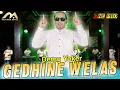 Download Lagu Demy Yoker | GEDENE WELAS | Magih sun welas Tulus nong njero ati | Koplo One Pro Live