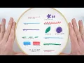 Lagu 13 Hand Embroidery Stitches for Beginners