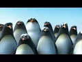Video motivasi \