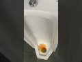 12 Crane Eljer Fixtures At Menards
