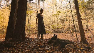 My Life In The Woods