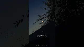 انشوده انت نور الله فجرا ماهر زين حاله واتس اب 