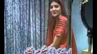 bibi shereeni