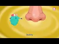 How Your Nose Works? - The Dr. Binocs Show | Best Learning Videos For Kids | Peekaboo Kidz