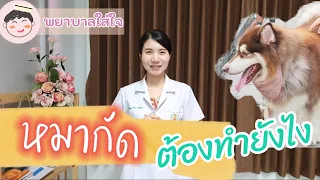 อาการของแผลที่ติดเชื้อหลังโดนหมากัดคืออะไร