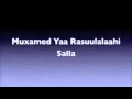 Lagu Muxamed yaa Rasuulalaahi salla