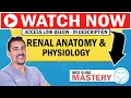 Kidney Nephron Anatomy Physiology Renal system NCLEX-RN LPN