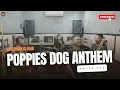 Download Lagu POPPIES DOG ANTHEM - S I D (LIVE STUDIO) STRUCK OUT INSIDE