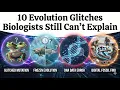 10 Evolution Glitches Biologists Still Can t Explain