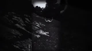 ماجاني نعاس بيتك العساس  ماجاني نعاس بيتك العساس