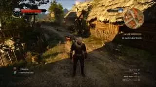 Witcher 3 new game plus stuff