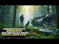 Download Lagu DUA ORANG BOCAH TERDAMPAR DI HUTAN BERBAHAYA DAN BERTAHAN HIDUP BERSAMA SEEKOR ANJING ‼️