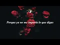 Lacey Sturm - The Soldier (Sub Español) | Aly Stoff