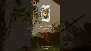 فضيلة الشيخ محمود خليل الحصري إنما المؤمنون إخوة حالات واتس 