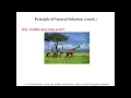 Genetic Algorithms - Part 1