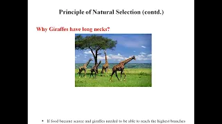 Genetic Algorithms - Part 1