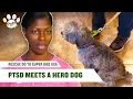 Download Lagu Dog Helps Veteran Overcome PTSD and Depression | Rescue Dog to Super Dog S1 E6 | Pets Up Close