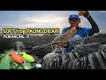 Download Lagu Cuma APHD yang Masih Efektif!\